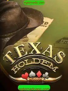 Descubra o Fascinante Mundo do Texas Hold'em